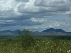 Read more about the article The role of the Chyulu Hills in the delivery of ecosystem services in south-eastern Kenya