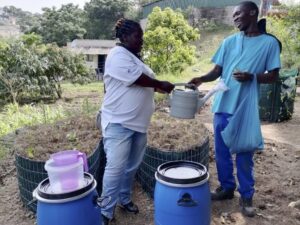 Read more about the article Innovative Solutions to Combat Food Insecurity and Sustain Livelihoods during the difficult times of the Covid-19 Pandemic